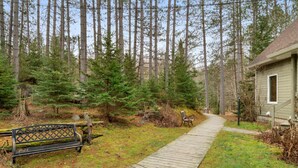 A wooden pathway leading to a cabin surrounded by tall pine trees.