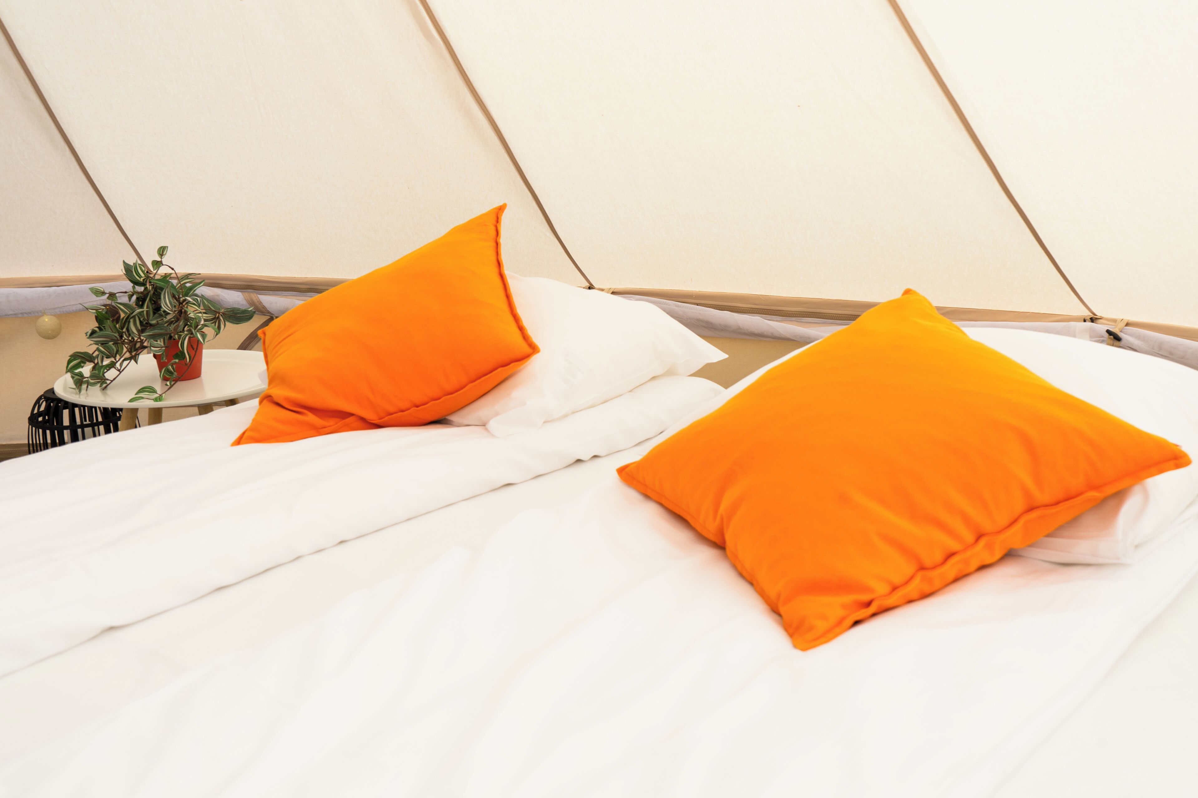 desk, laptop workspace, free wifi, bed sheets