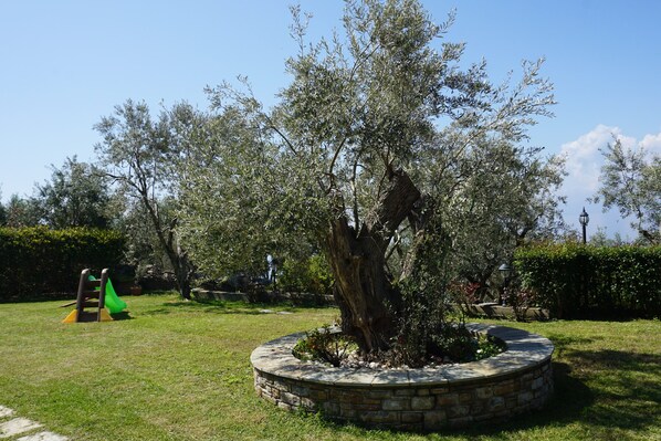 Parco della struttura