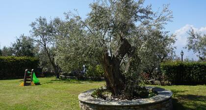 Sea side house with magnificent garden