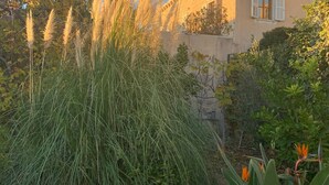 A building with a beige facade, multiple windows with shutters, and a garden with tall grasses and plants. - Hedera Estate, House Hedera VI (Dubrovnik)