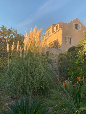 Exterior - Hedera Estate, House Hedera VI (Dubrovnik)