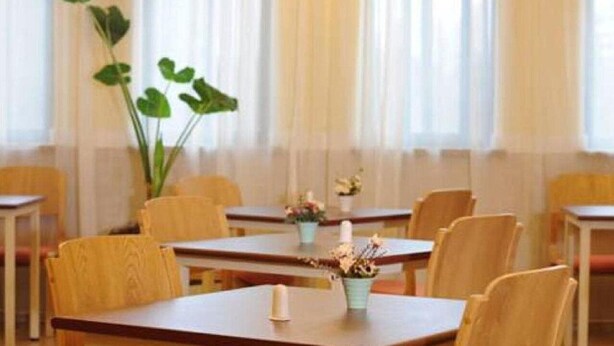 A dining area with wooden tables and chairs, a large potted plant, and floral centerpieces on the tables. - Home Inn Hotel Beijing West North Plaza (Beijing)