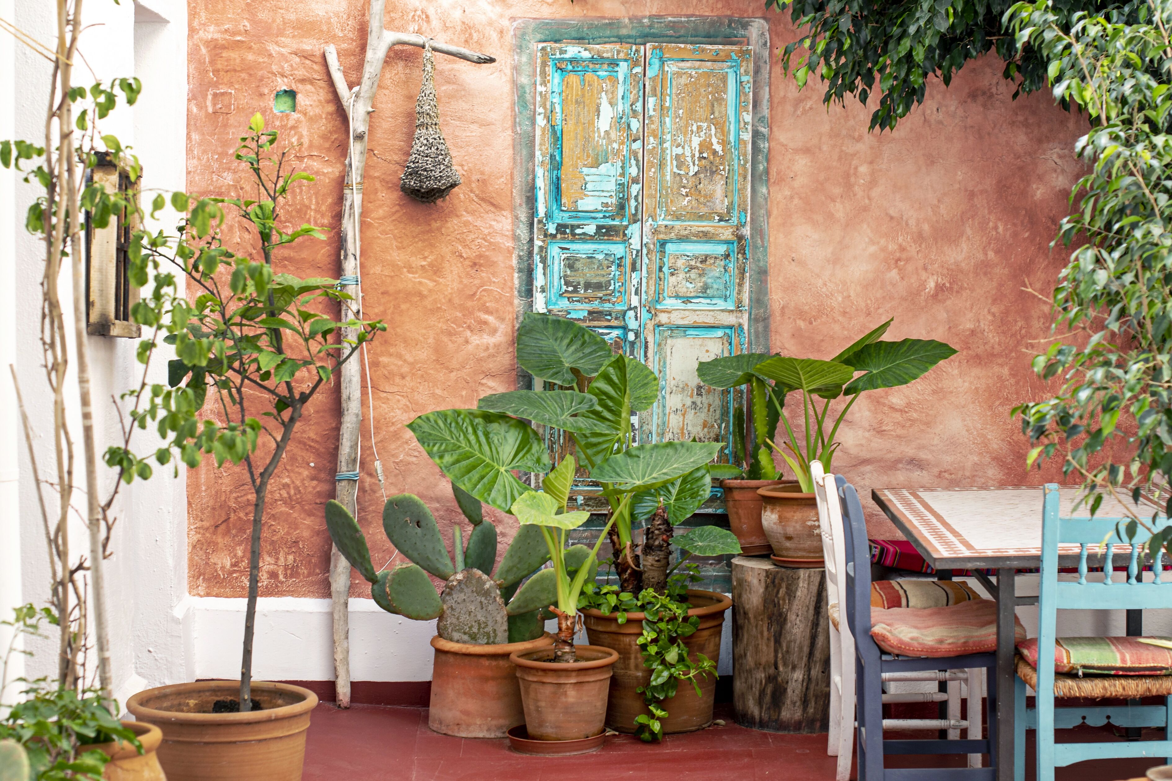 Foto - La Cayena Rooms & Apartments