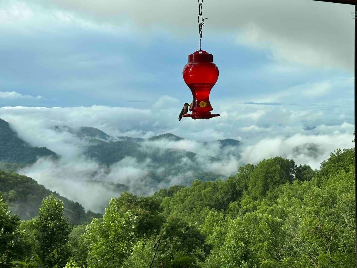 Un comedero rojo colgado en un paisaje montañoso con abundante vegetación y nubes abajo.