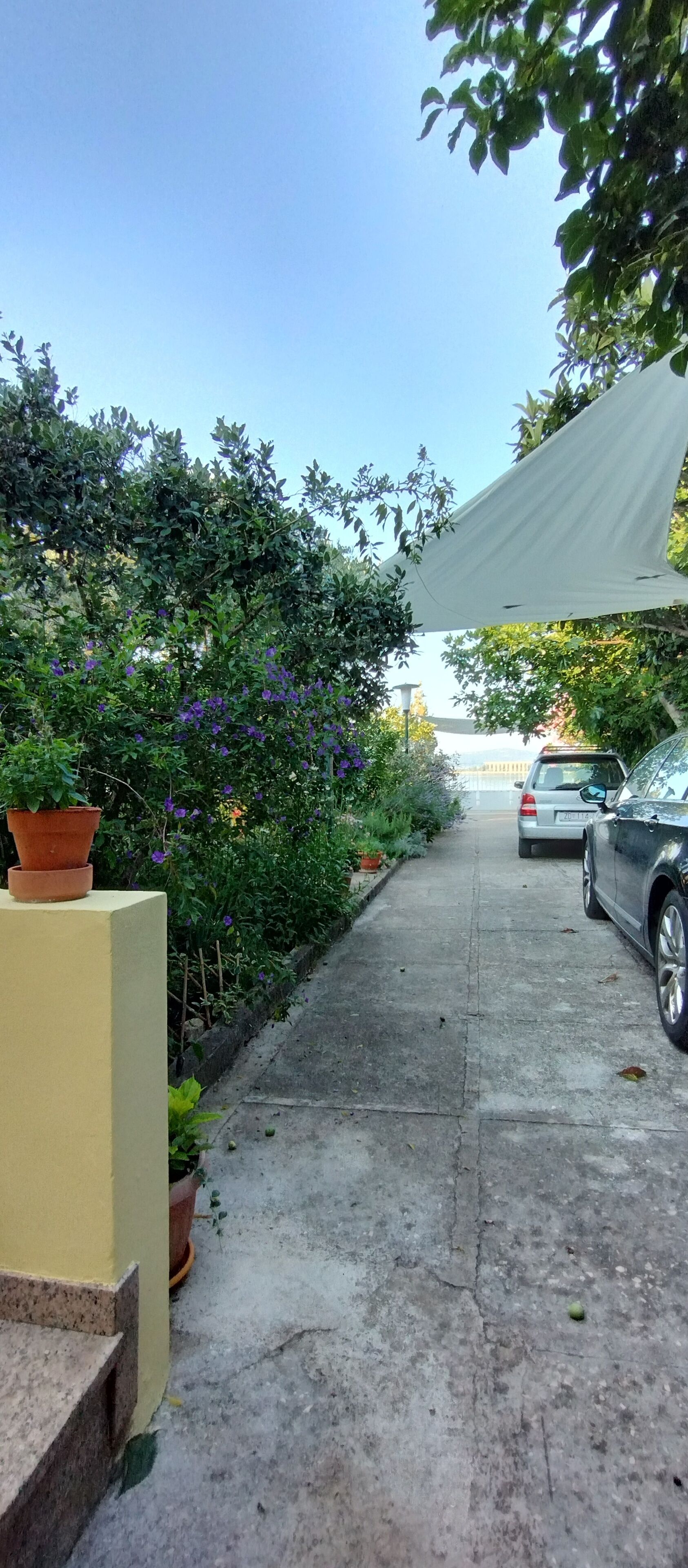 Un estrecho sendero de hormigón bordeado de abundante vegetación y plantas en macetas. Un coche blanco está estacionado a la derecha.