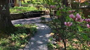 A garden pathway leading to a wooden cabin with a stone wall and a wooden deck. - Cozy Cottage - Perfect Private Getaway. (Hopwood)
