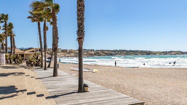 Una playa con palmeras, un paseo marítimo de madera y el océano.