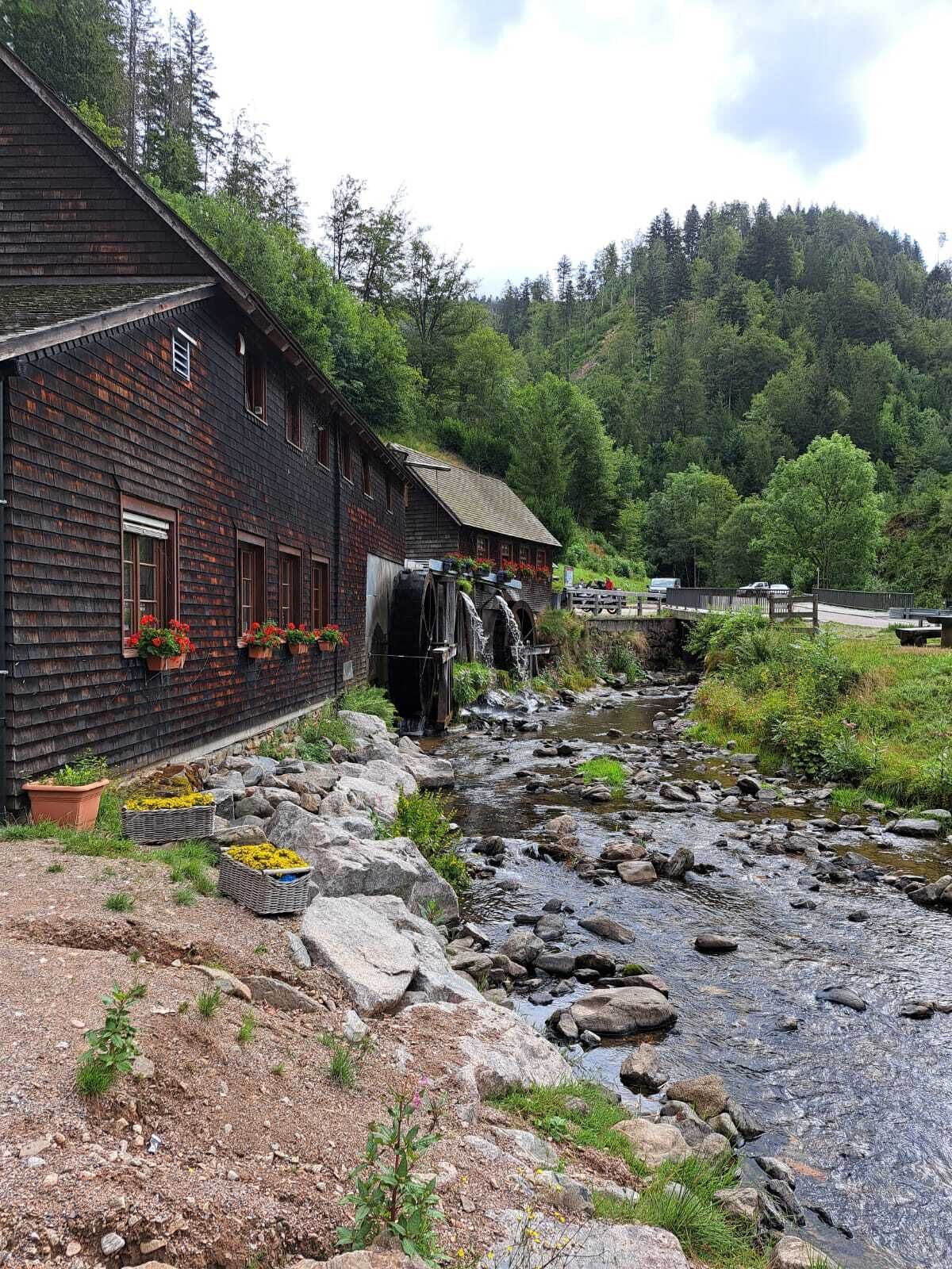 Schwarzwald Murgtalradweg
