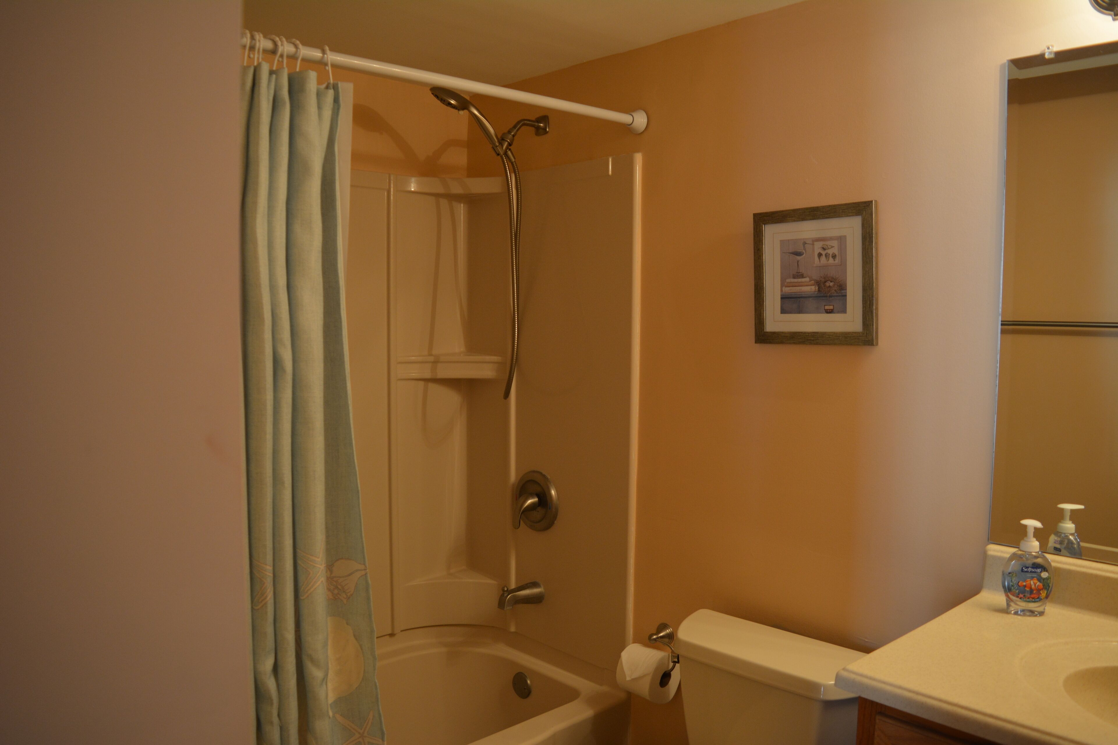 Combined shower/tub, hair dryer, towels, soap