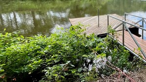 Une jetée en bois s’étendant sur un lac paisible, bordé d’une végétation luxuriante et d’arbres.