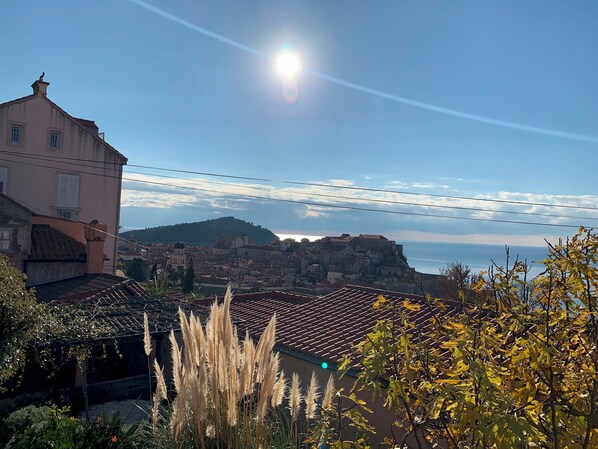 Unclassified image, 1 of 36, button