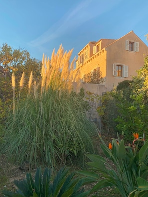 Property grounds - Hedera Estate, House Hedera VI (Dubrovnik)