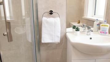 Shower, hair dryer