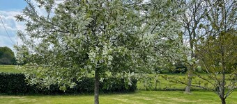 Gite Meublé en Campagne