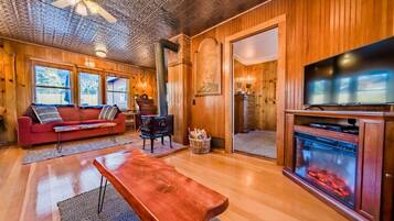 Smart TV, fireplace, DVD player, books