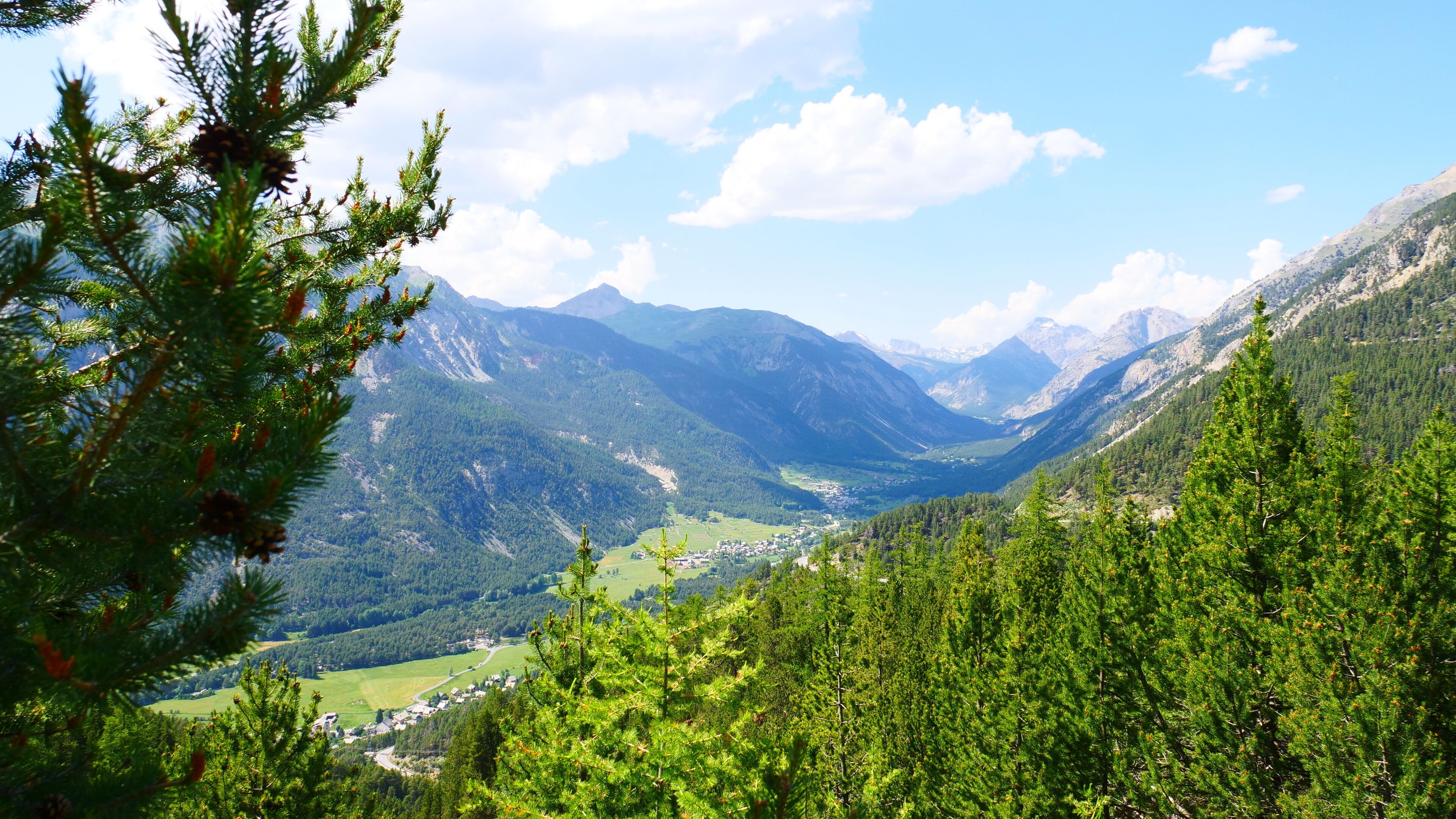 A mountainous landscape with a valley, dense forests, and a small settlement.