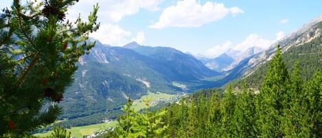 A mountainous landscape with a valley, dense forests, and a small settlement.