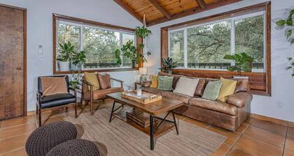 Sequoia “Tree house” Light & Bright