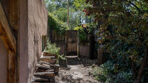 A narrow stone pathway leading through a rustic courtyard with wooden steps and a wooden fence.