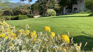 Áreas de la propiedad