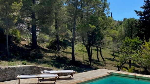 Une piscine rectangulaire à l’eau d’un bleu limpide, entourée d’une terrasse en bois.