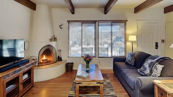 TV connectée, cheminée, lecteur de DVD