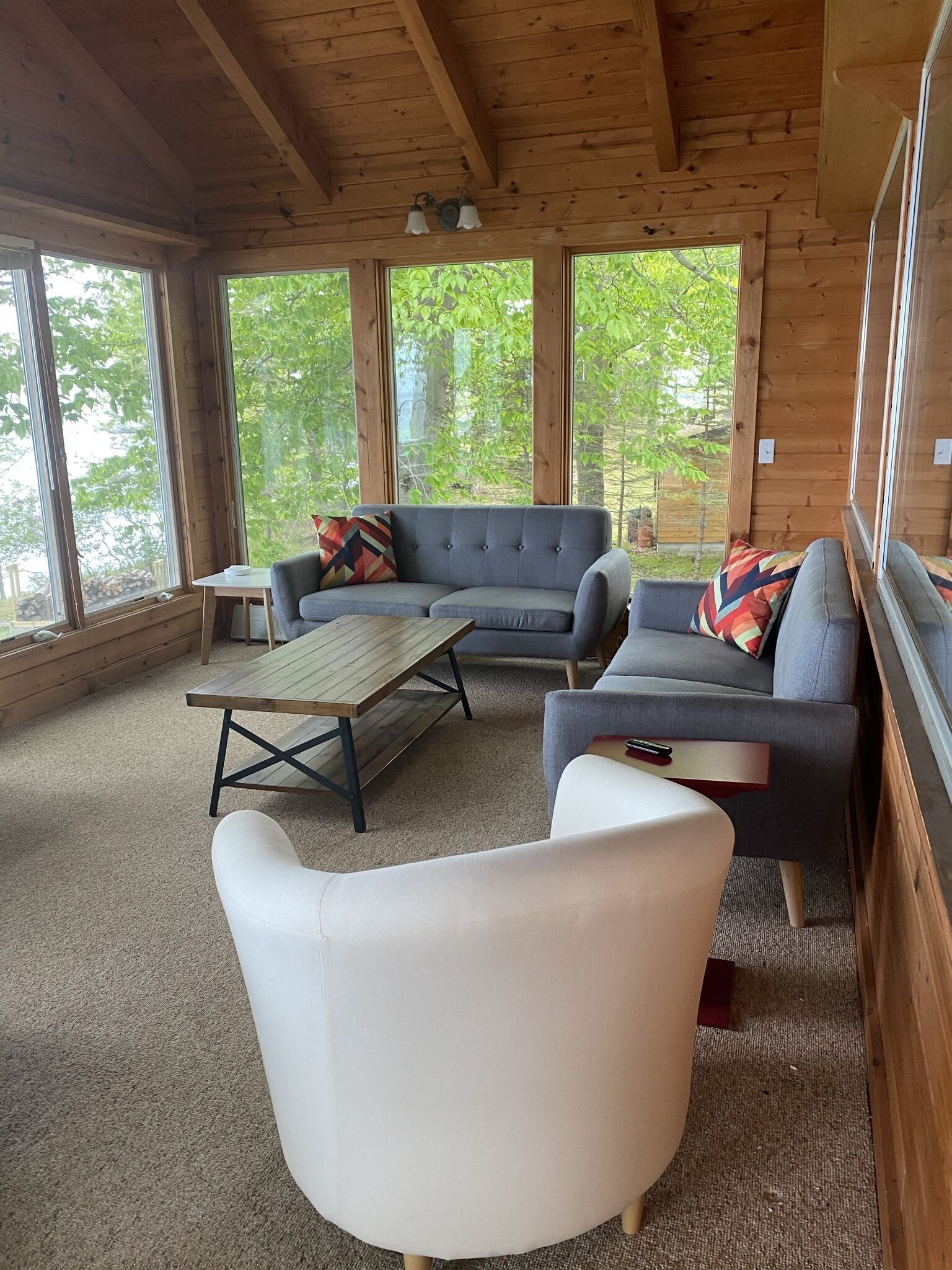 Smart TV, fireplace, video games, books