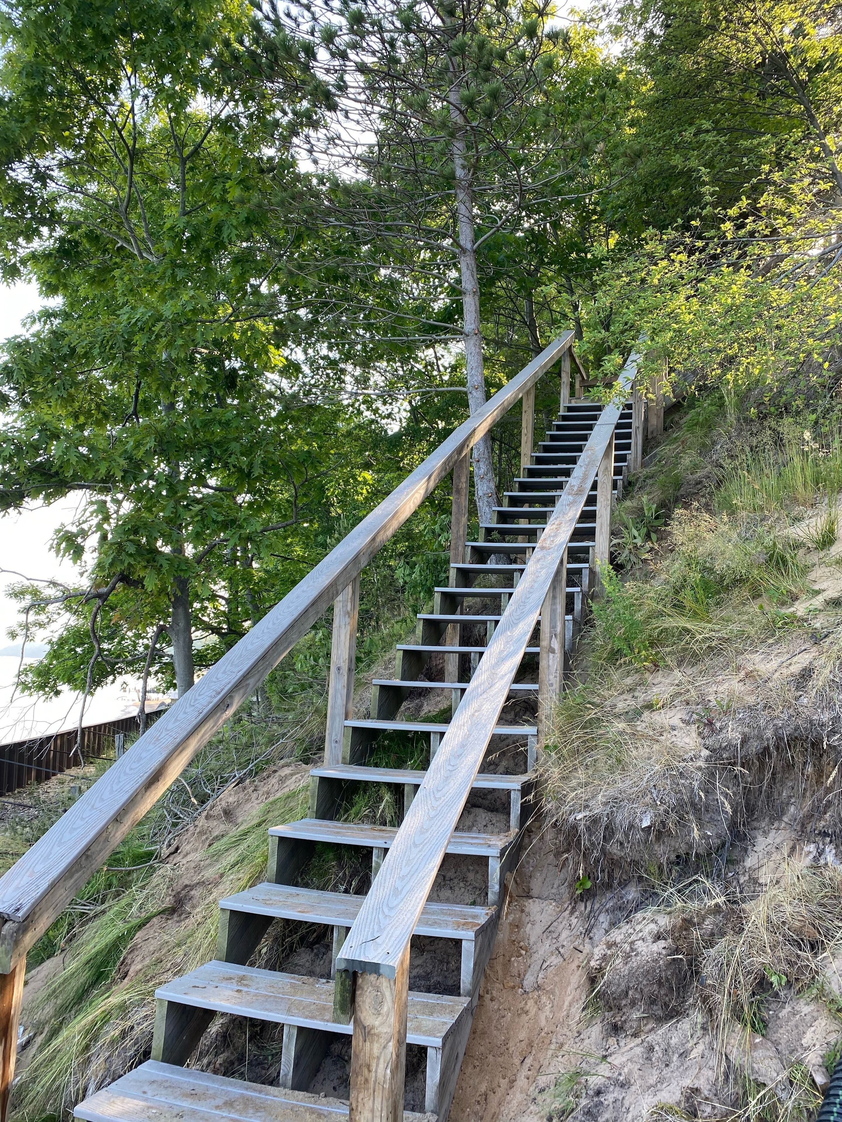 Eine Holztreppe mit Metallgeländern, umgeben von Bäumen und Vegetation.