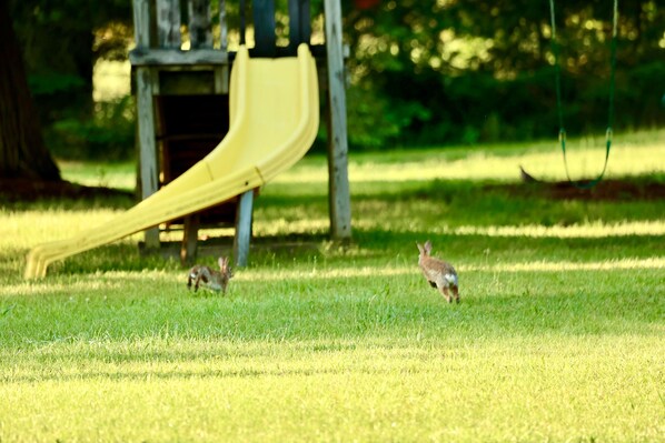 Un parque infantil con un tobogán amarillo y dos ardillas sobre el césped.