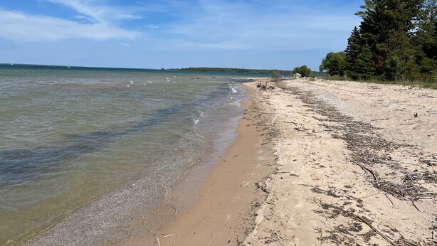 A beach with clear water, sandy shore, and trees. - 4+ acres with 100 feet of sugar sand beach on Lake Huron (Cheboygan)
