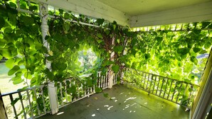 A covered balcony with a white railing, surrounded by lush green foliage. - 4+ acres with 100 feet of sugar sand beach on Lake Huron (Cheboygan)