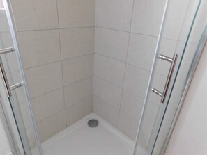 Ein kleiner, abgeschlossener Duschbereich mit gefliesten Wänden und einer Glastür.