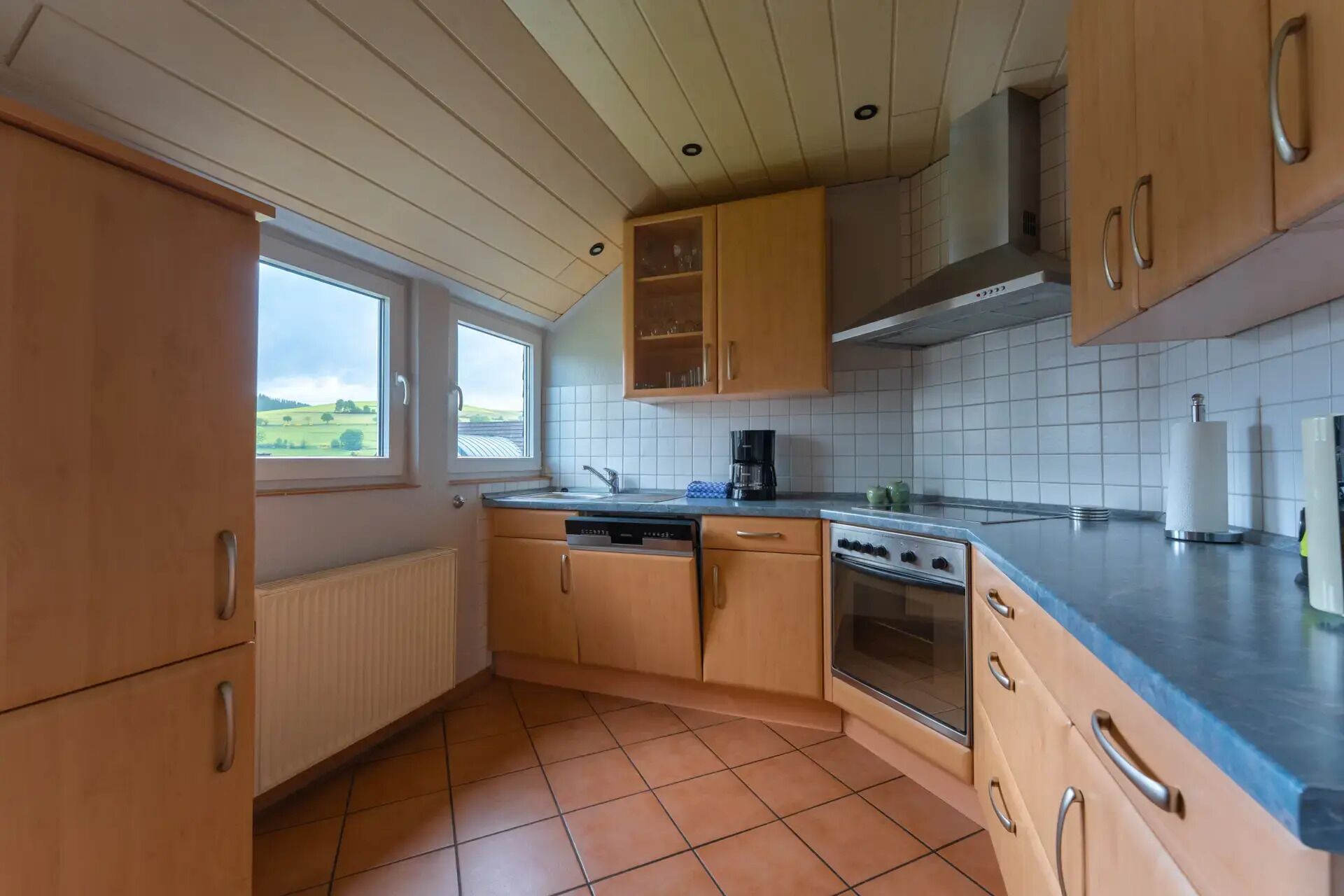 Kühlschrank, Mikrowelle, Herdplatte, Geschirrspüler