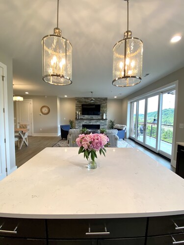 2BR Condo in Downtown Lynchburg w/ Picturesque Views