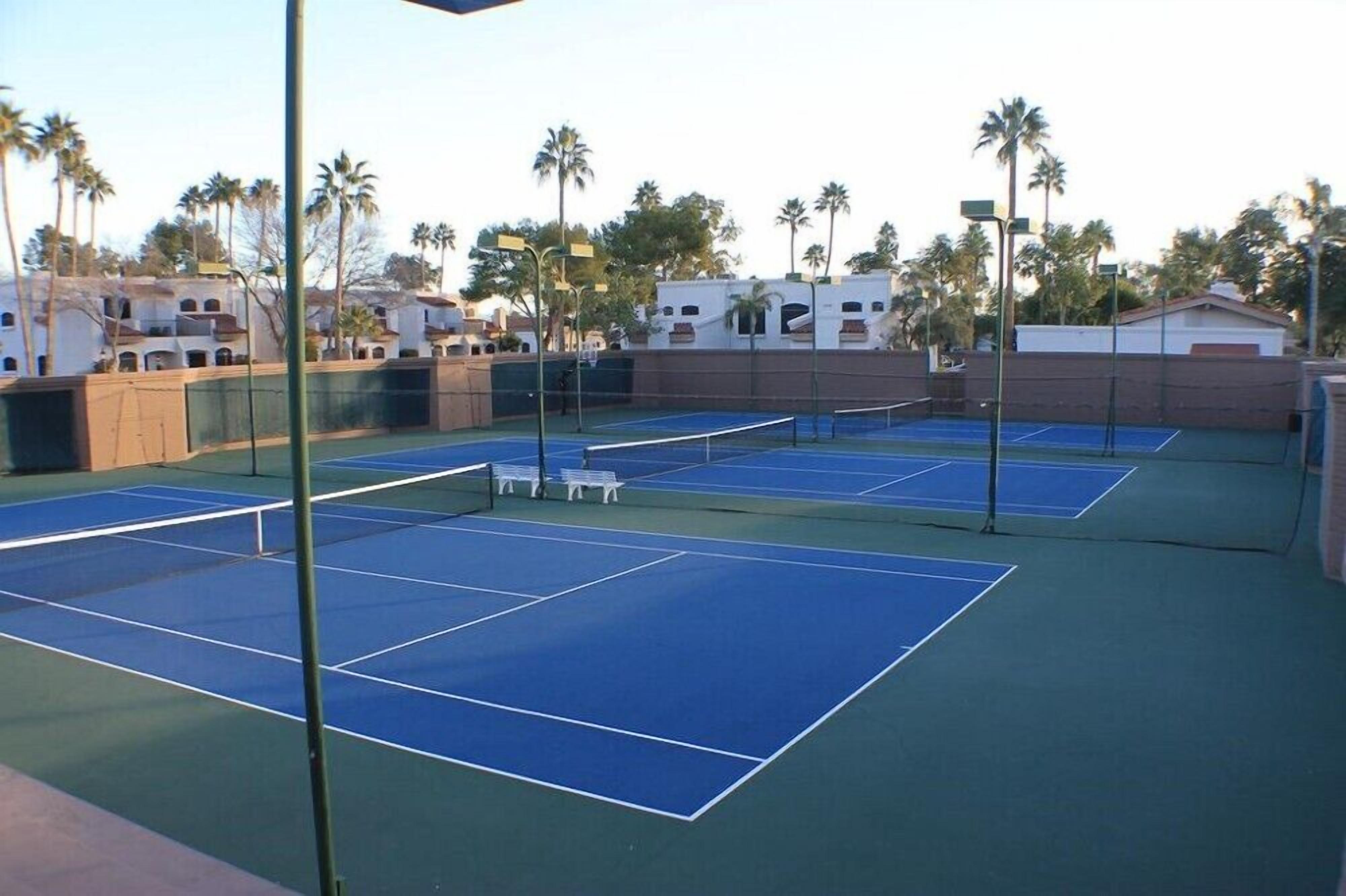 A tennis court with multiple courts, benches, and palm trees in the background.