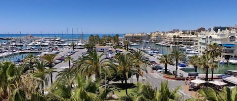 A marina with boats, palm trees, and buildings in the background.