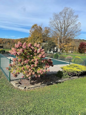 المنطقة المحيطة بالمنشأة