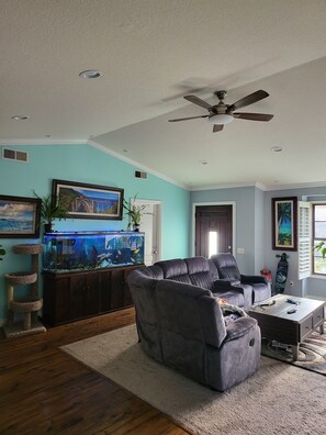 Smart-TV, Kamin, Computerbildschirme, Drucker