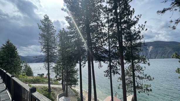 A lakeside view with tall trees, a wooden deck, and a small building near the water. - Beautiful Lake Front Property  (Bayview)