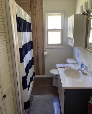 Combined shower/tub, hair dryer, towels, soap