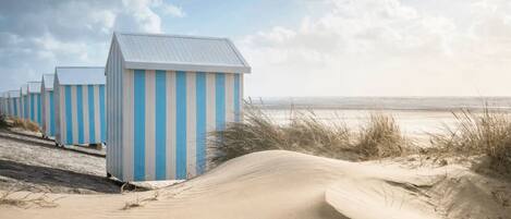 On the beach, sun-loungers