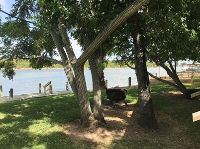 The River House