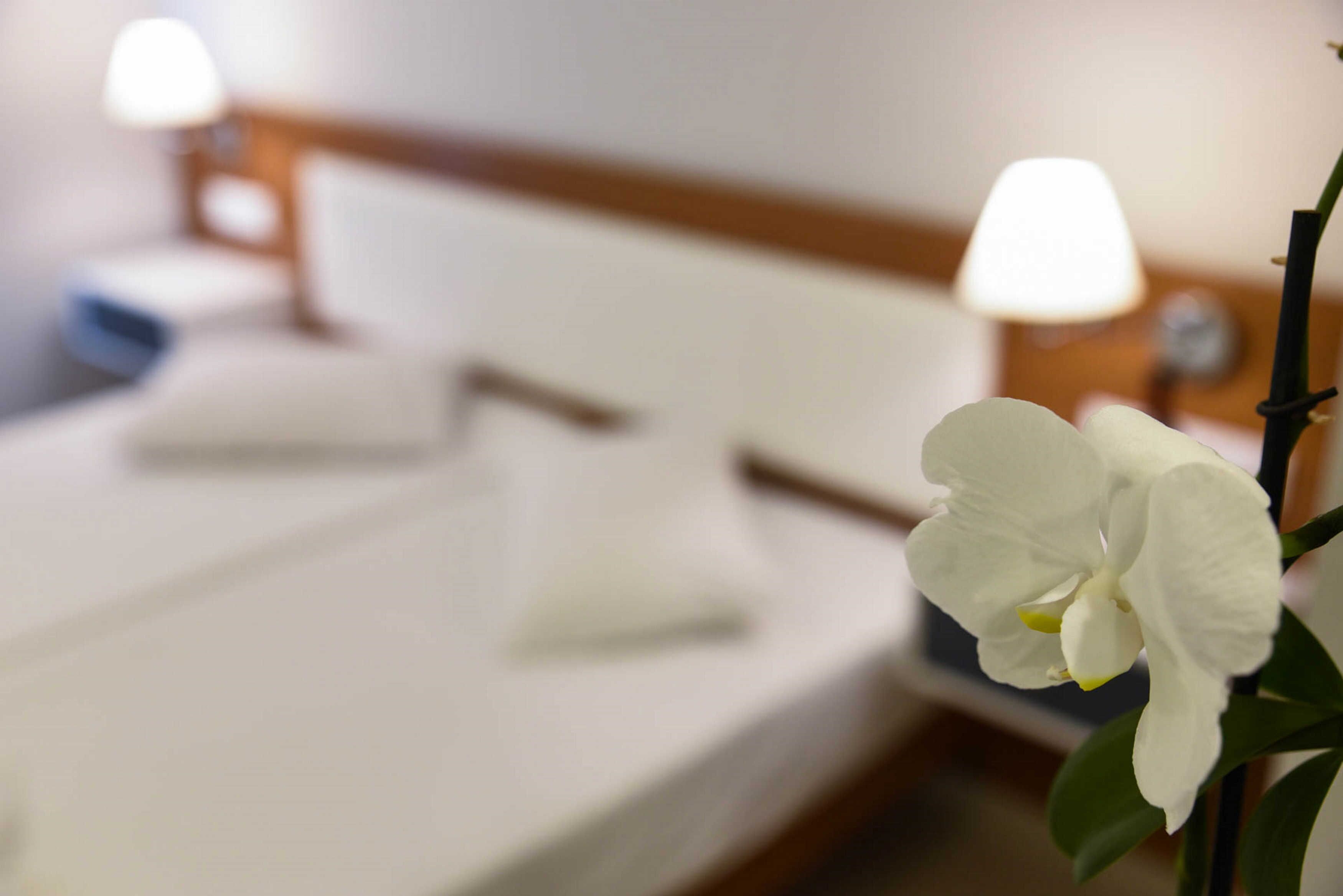 A hotel room with a neatly made bed, a bedside lamp, and a white orchid.