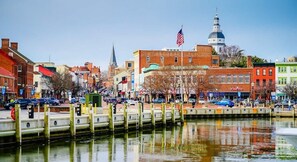 A waterfront cityscape with a prominent building featuring a dome and an American flag.
