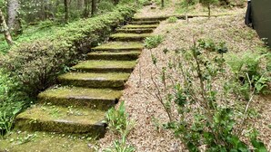 A stone staircase leading up a hill, surrounded by lush greenery and trees. - Shangri-La Cabin your mountain top Utopia (Blairsville)