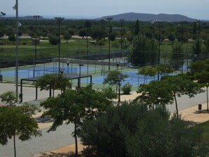 Sportveld