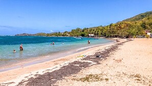 Una playa con agua azul cristalina, gente nadando y una orilla de arena con vegetación.