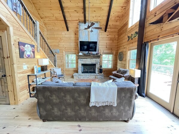 智能电视、壁炉、DVD 播放器