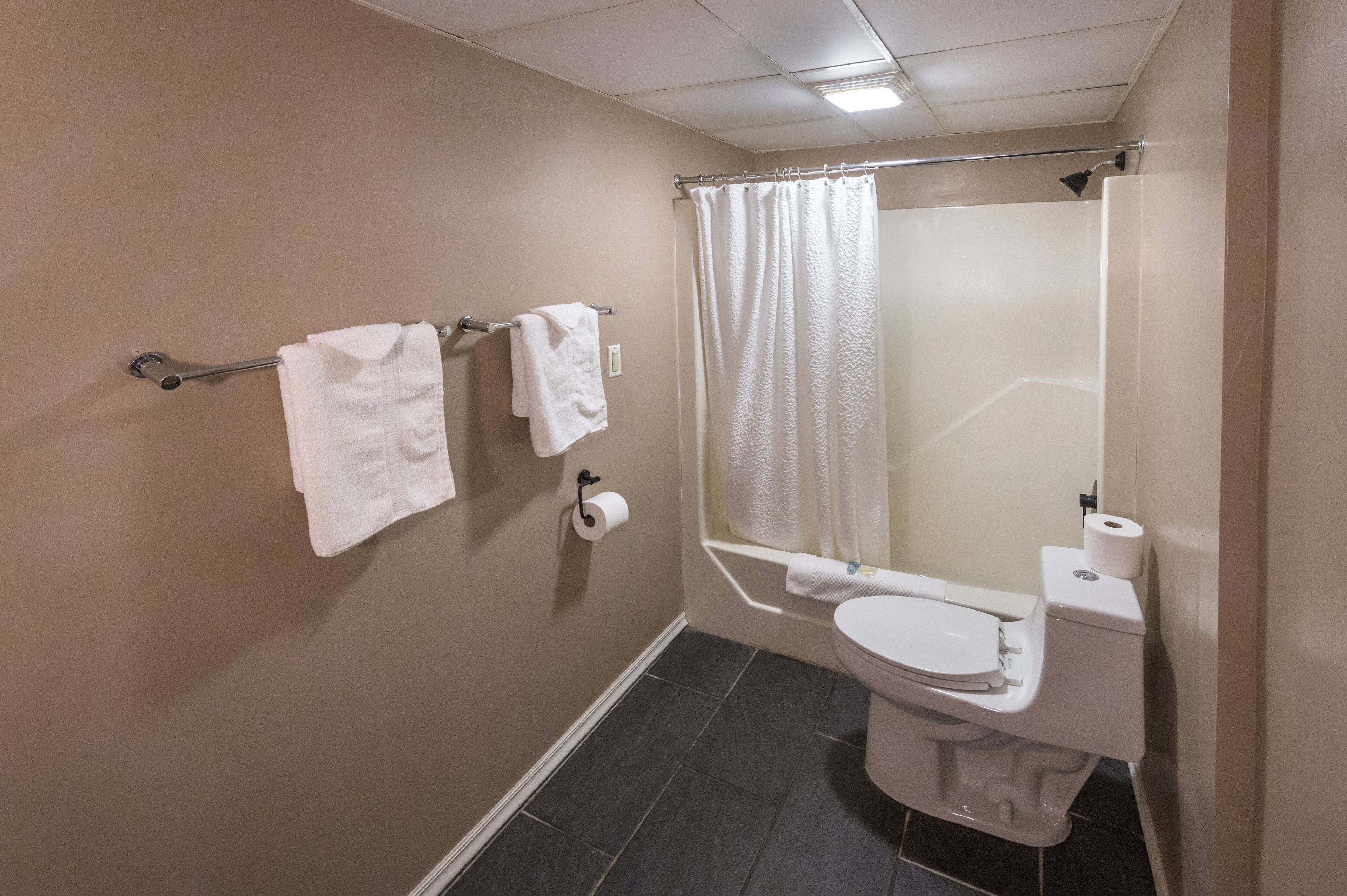 Combined shower/tub, free toiletries, hair dryer, towels